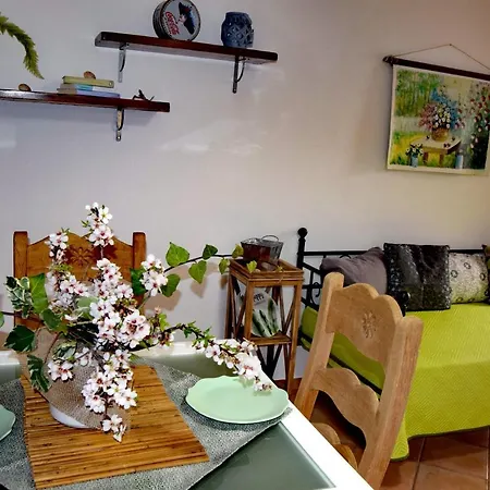 Apartment Domunua House