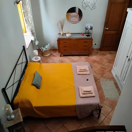 Apartment Domunua House