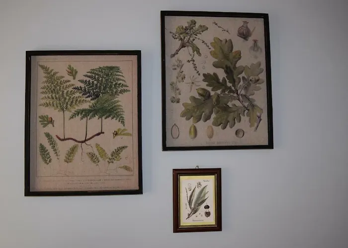 Apartman Domunua House *